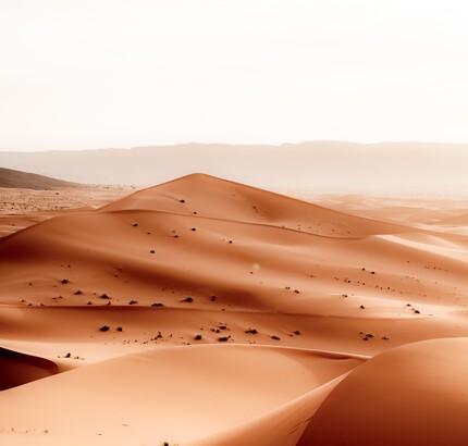 MDS_SAHARA_3