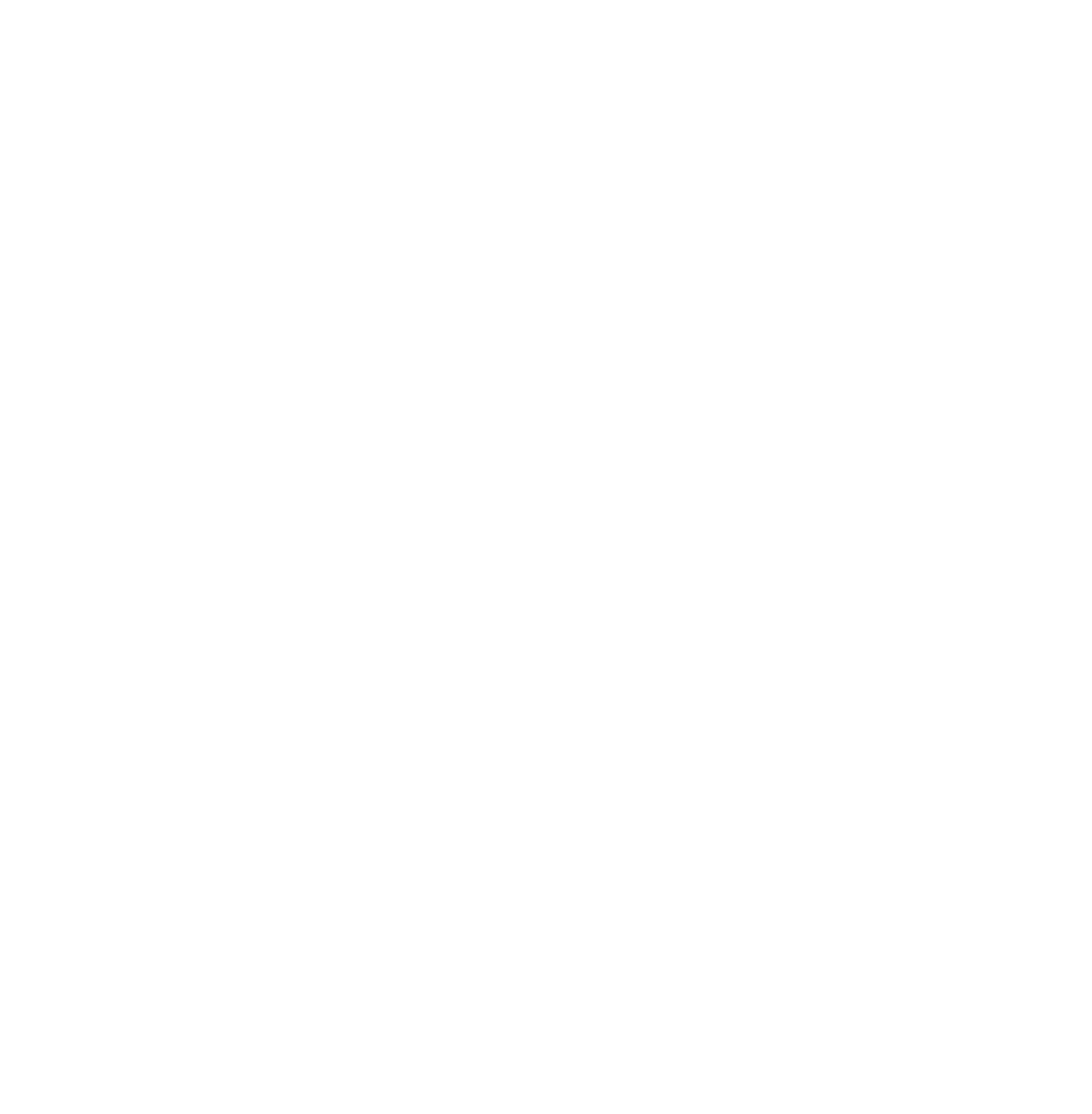 Logo MDS Trek Morocco